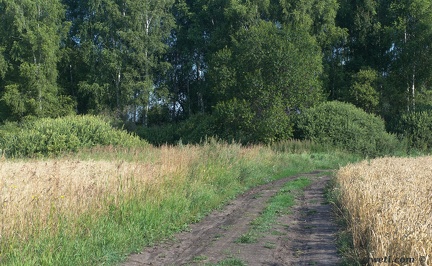 DSC 0817