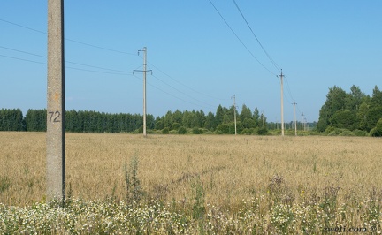 DSC 0819