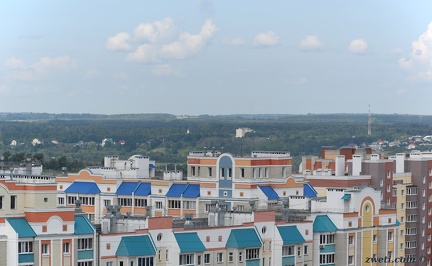 DSC 8784