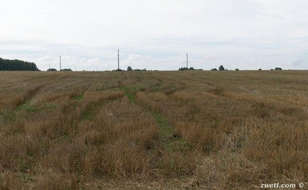 DSC 0989