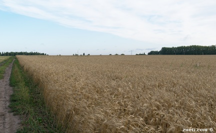 DSC 0998