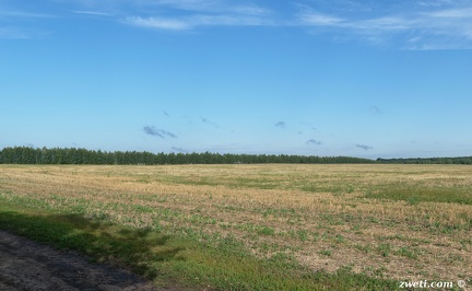 DSC 1001