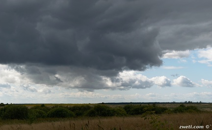 DSC 1008