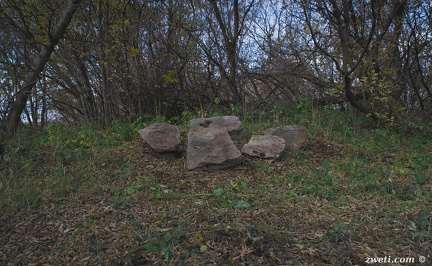 DSC 1806