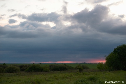 DSC 2779
