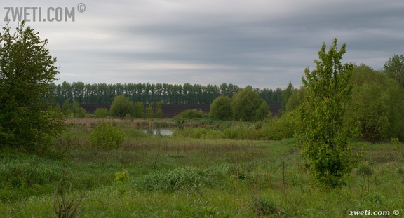 DSC 2795