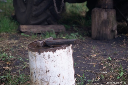 DSC 3091