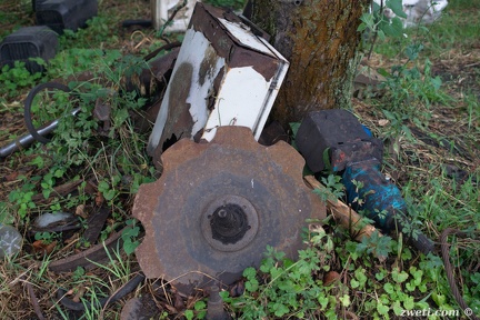 DSC 3089