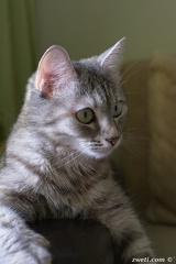 DSC 8419
